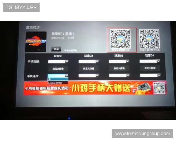 车载小鸡模拟器无法进入游戏的解决办法与常见问题分析